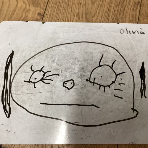 , 